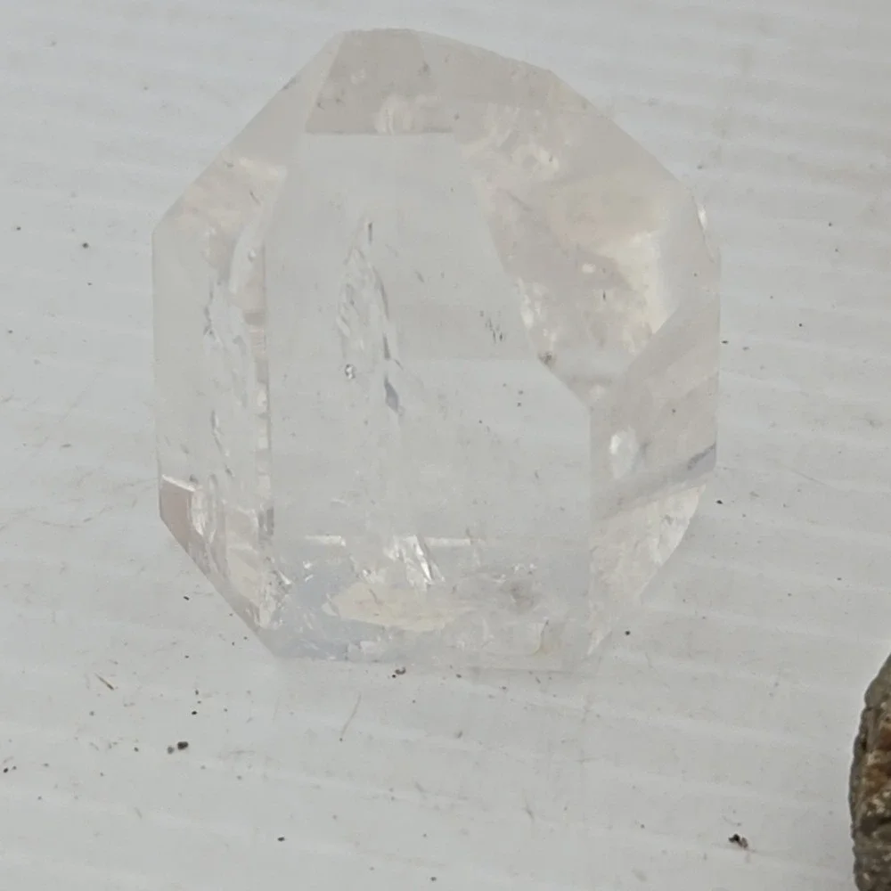 Unique Rock / Fossil Lot‎ Of 10